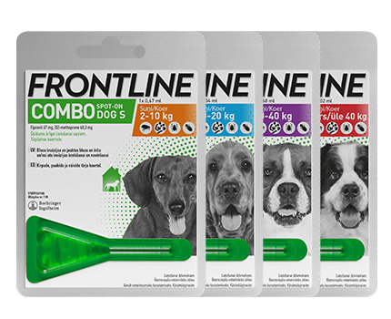 Frontline Combo dog