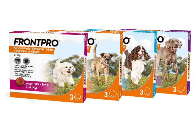 Packshots FRONTPRO