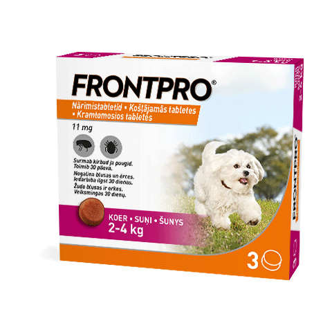 Packshot FRONTPRO 2-4 kg
